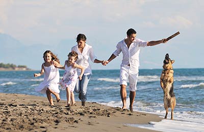 Save money by comparing times and routes for your ferry