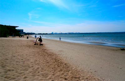 Get the best prices by comparing companies