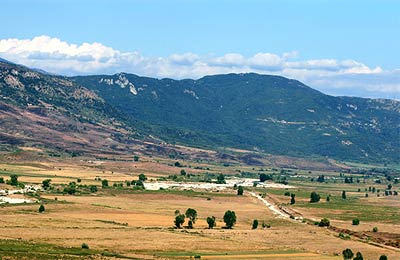 Get the best prices by comparing companies