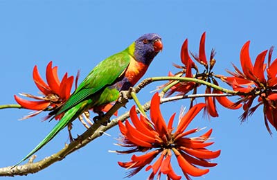 Get the best prices by comparing companies