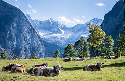 See sailing schedules and the latest prices