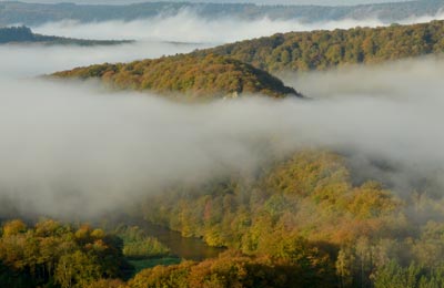 A beleza natural da floresta das Ardenas