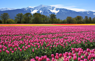 See sailing schedules and the latest prices