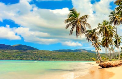 Compare and save, no hidden fees!