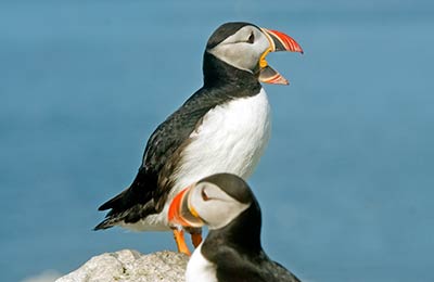 Compare dates, times and routes to save money
