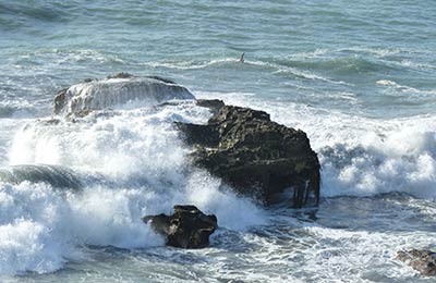 Booking is always simple, quick and safe with us