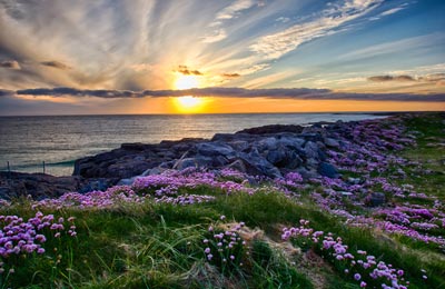 Find information with AFerry.