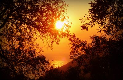 See sailing schedules and the latest prices