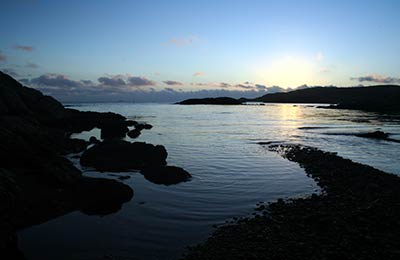 Get the best prices by comparing companies