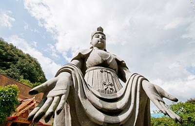 Find all sailings and the latest special offers